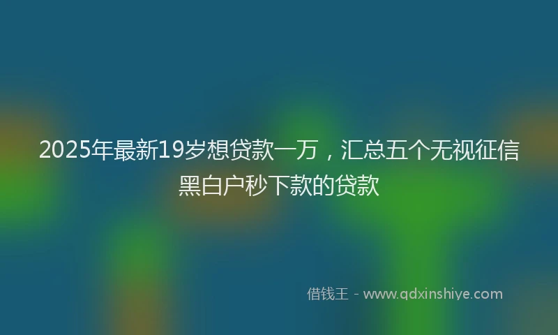 2025年最新19岁想贷款一万，汇总五个无视征信黑白户秒下款的贷款