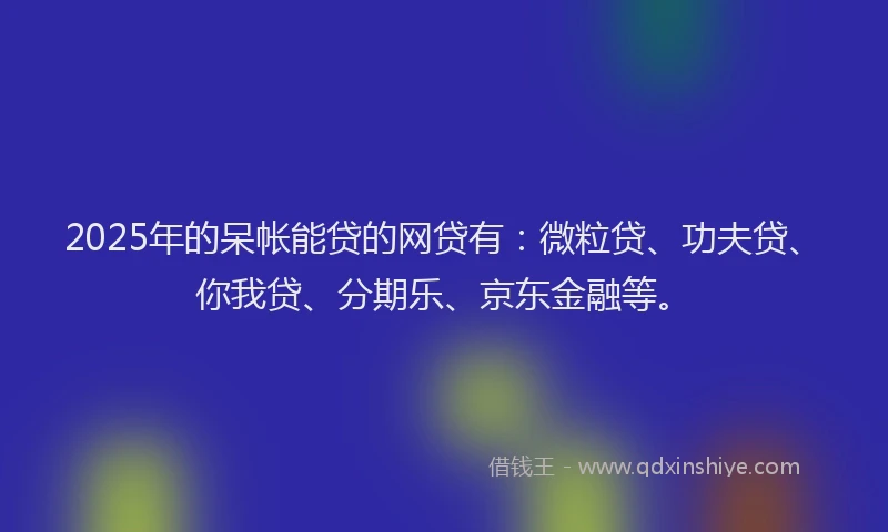 2025年的呆帐能贷的网贷有：微粒贷、功夫贷、你我贷、分期乐、京东金融等。