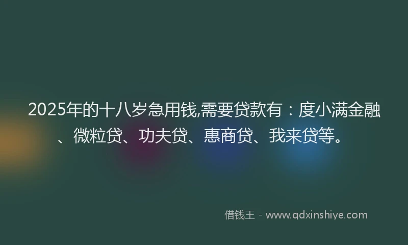 2025年的十八岁急用钱,需要贷款有：度小满金融、微粒贷、功夫贷、惠商贷、我来贷等。