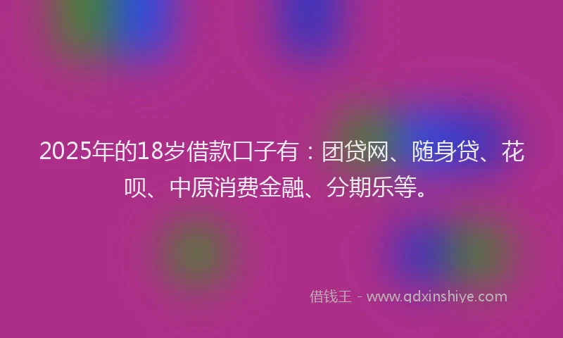 2025年的18岁借款口子有：团贷网、随身贷、花呗、中原消费金融、分期乐等。