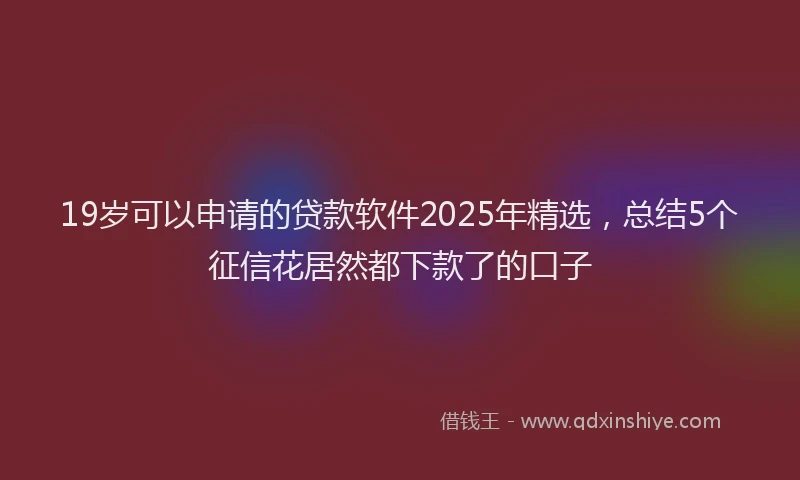 19岁可以申请的贷款软件2025年精选，总结5个征信花居然都下款了的口子