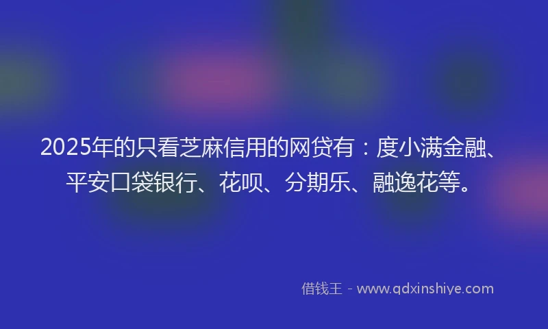 2025年的只看芝麻信用的网贷有：度小满金融、平安口袋银行、花呗、分期乐、融逸花等。
