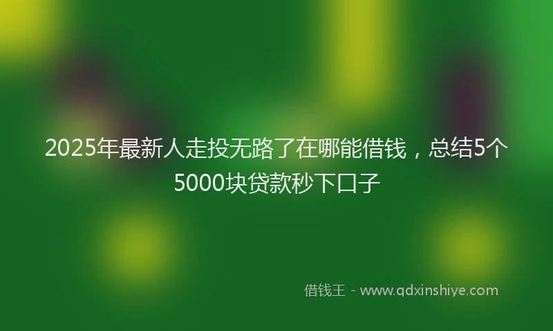 2025年最新人走投无路了在哪能借钱，总结5个5000块贷款秒下口子