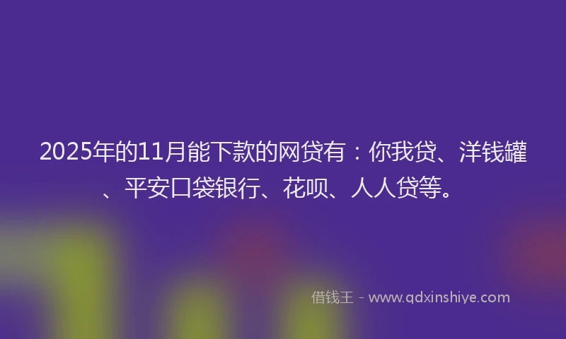 2025年的11月能下款的网贷有：你我贷、洋钱罐、平安口袋银行、花呗、人人贷等。