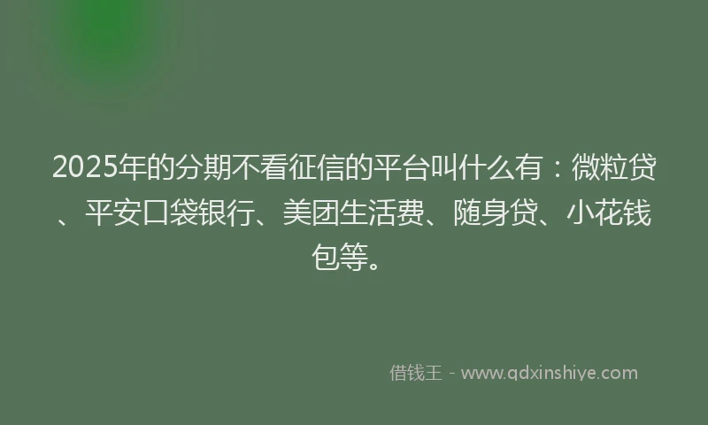 2025年的分期不看征信的平台叫什么有：微粒贷、平安口袋银行、美团生活费、随身贷、小花钱包等。