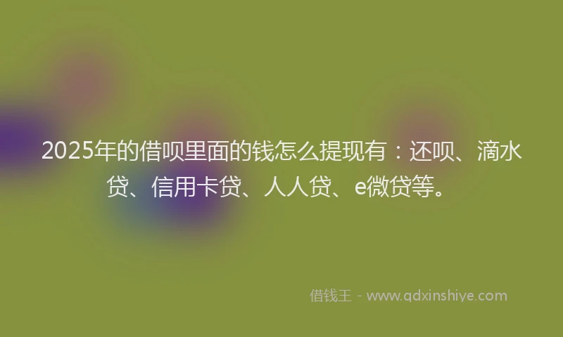2025年的借呗里面的钱怎么提现有：还呗、滴水贷、信用卡贷、人人贷、e微贷等。
