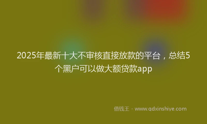 2025年最新十大不审核直接放款的平台，总结5个黑户可以做大额贷款app