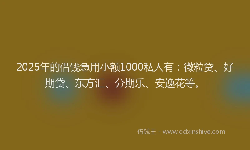 2025年的借钱急用小额1000私人有：微粒贷、好期贷、东方汇、分期乐、安逸花等。