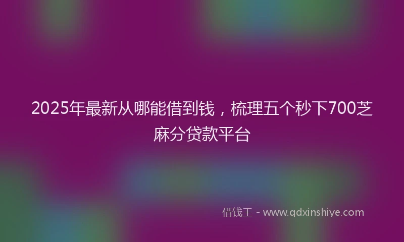 2025年最新从哪能借到钱，梳理五个秒下700芝麻分贷款平台