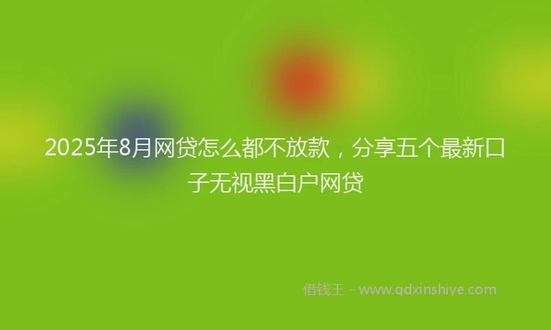 2025年8月网贷怎么都不放款，分享五个最新口子无视黑白户网贷