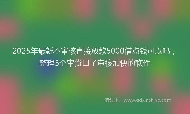 2025年最新不审核直接放款5000借点钱可以吗，整理5个审贷口子审核加快的软件