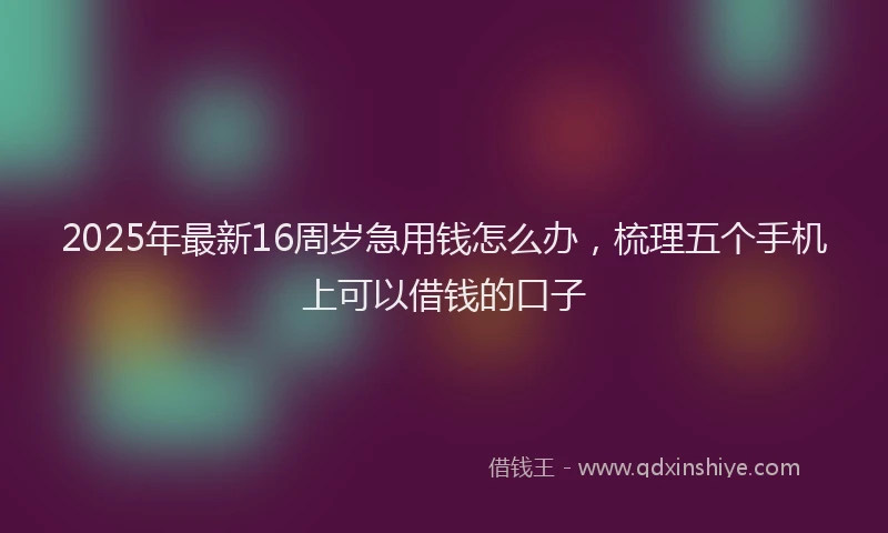 2025年最新16周岁急用钱怎么办，梳理五个手机上可以借钱的口子
