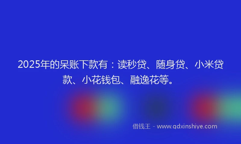 2025年的呆账下款有：读秒贷、随身贷、小米贷款、小花钱包、融逸花等。