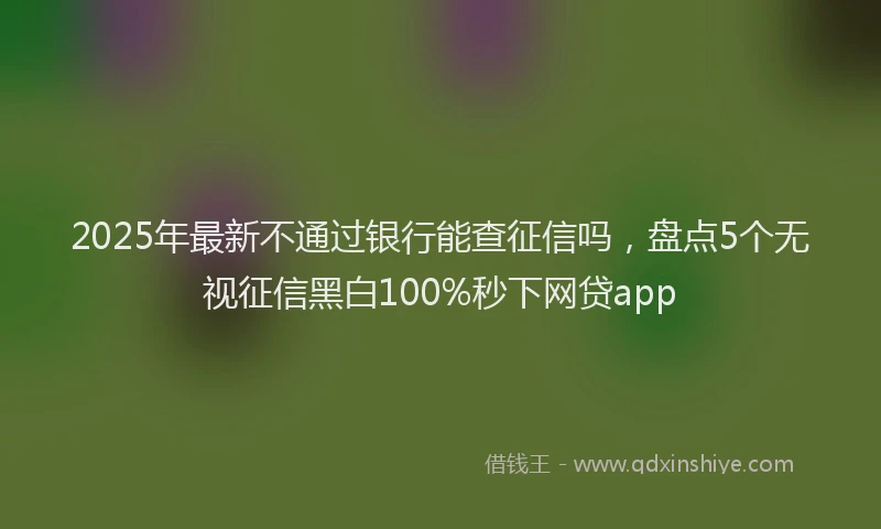 2025年最新不通过银行能查征信吗，盘点5个无视征信黑白100%秒下网贷app