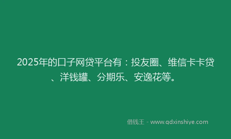 2025年的口子网贷平台有：投友圈、维信卡卡贷、洋钱罐、分期乐、安逸花等。
