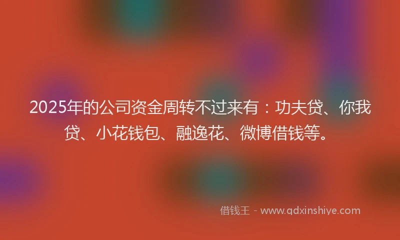 2025年的公司资金周转不过来有：功夫贷、你我贷、小花钱包、融逸花、微博借钱等。
