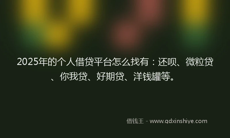 2025年的个人借贷平台怎么找有：还呗、微粒贷、你我贷、好期贷、洋钱罐等。