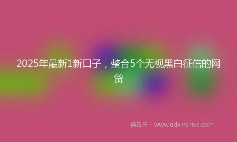 2025年最新1新口子，整合5个无视黑白征信的网贷