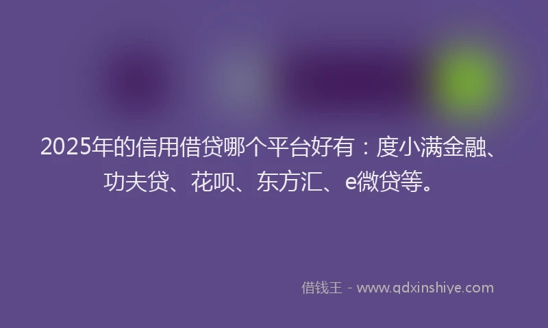 2025年的信用借贷哪个平台好有：度小满金融、功夫贷、花呗、东方汇、e微贷等。
