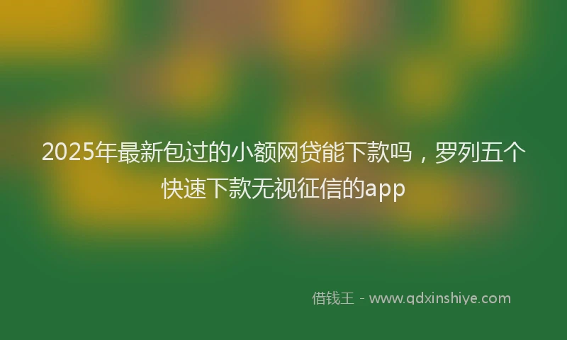 2025年最新包过的小额网贷能下款吗，罗列五个快速下款无视征信的app