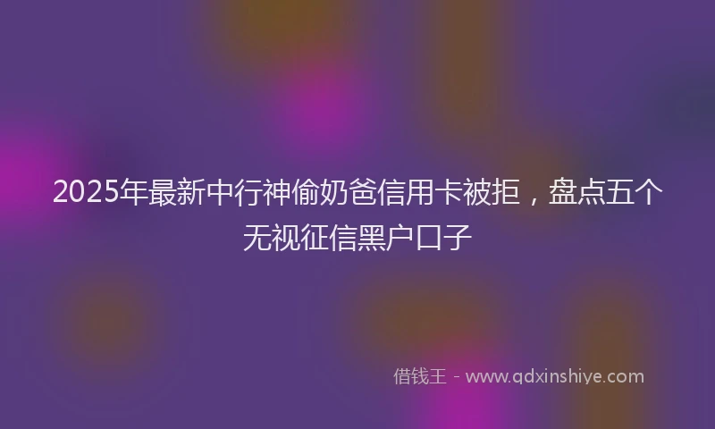 2025年最新中行神偷奶爸信用卡被拒，盘点五个无视征信黑户口子