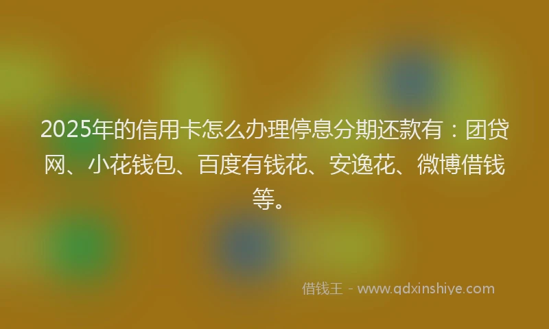 2025年的信用卡怎么办理停息分期还款有：团贷网、小花钱包、百度有钱花、安逸花、微博借钱等。