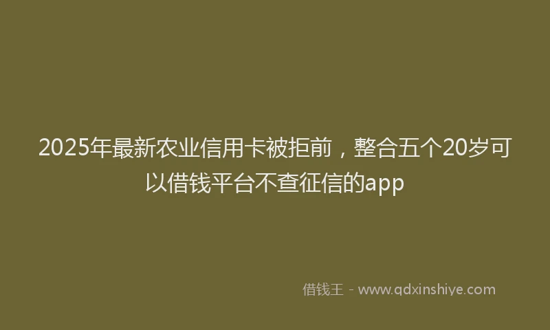 2025年最新农业信用卡被拒前，整合五个20岁可以借钱平台不查征信的app