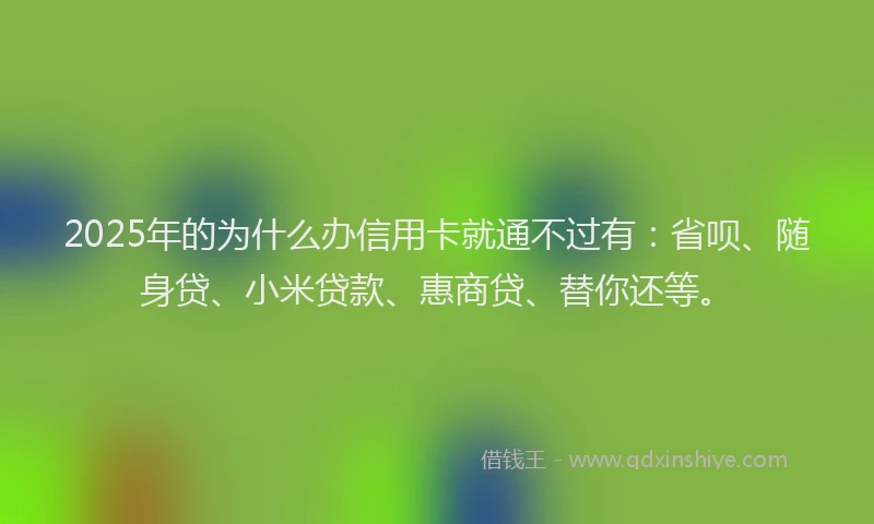 2025年的为什么办信用卡就通不过有：省呗、随身贷、小米贷款、惠商贷、替你还等。