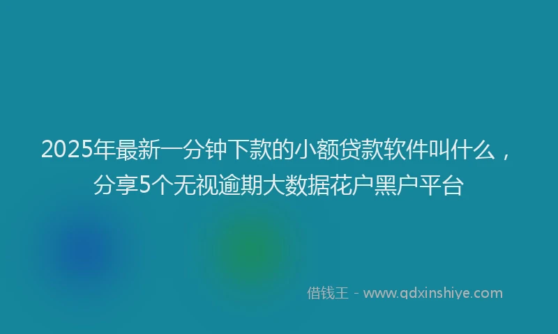2025年最新一分钟下款的小额贷款软件叫什么，分享5个无视逾期大数据花户黑户平台