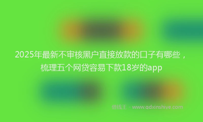 2025年最新不审核黑户直接放款的口子有哪些，梳理五个网贷容易下款18岁的app