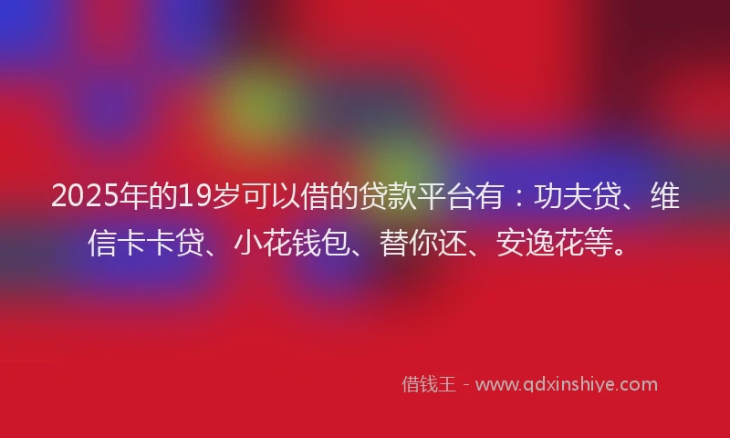 2025年的19岁可以借的贷款平台有：功夫贷、维信卡卡贷、小花钱包、替你还、安逸花等。