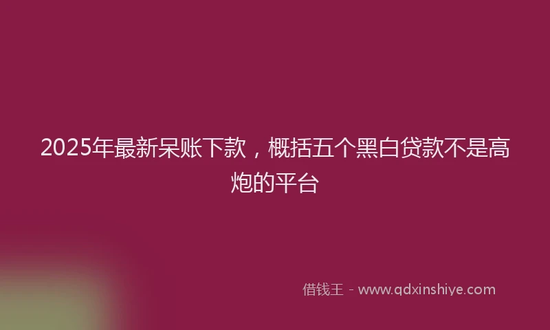 2025年最新呆账下款，概括五个黑白贷款不是高炮的平台