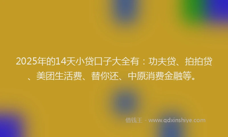 2025年的14天小贷口子大全有：功夫贷、拍拍贷、美团生活费、替你还、中原消费金融等。