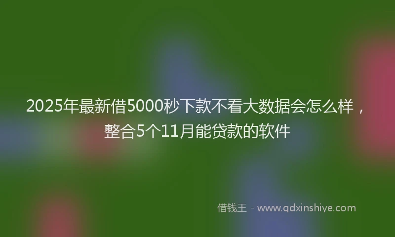 2025年最新借5000秒下款不看大数据会怎么样，整合5个11月能贷款的软件