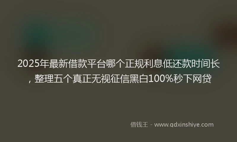 2025年最新借款平台哪个正规利息低还款时间长，整理五个真正无视征信黑白100%秒下网贷