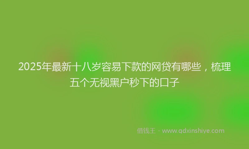 2025年最新十八岁容易下款的网贷有哪些，梳理五个无视黑户秒下的口子