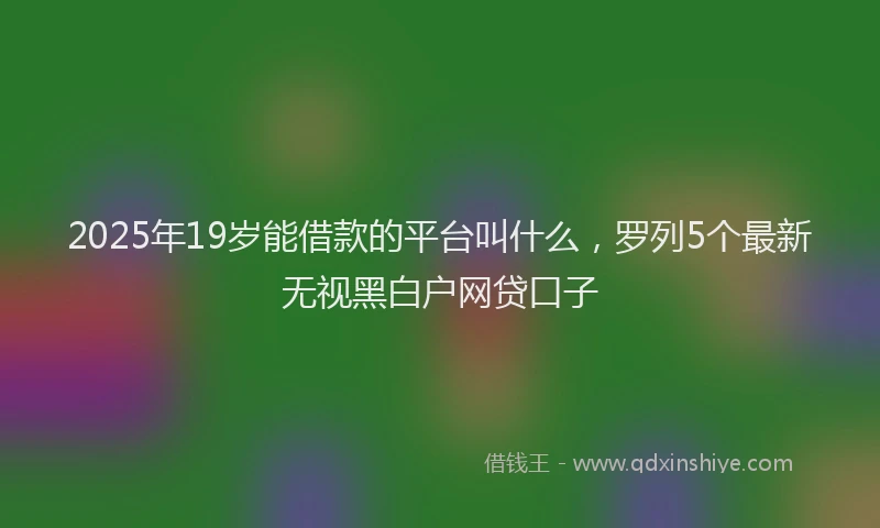 2025年19岁能借款的平台叫什么，罗列5个最新无视黑白户网贷口子