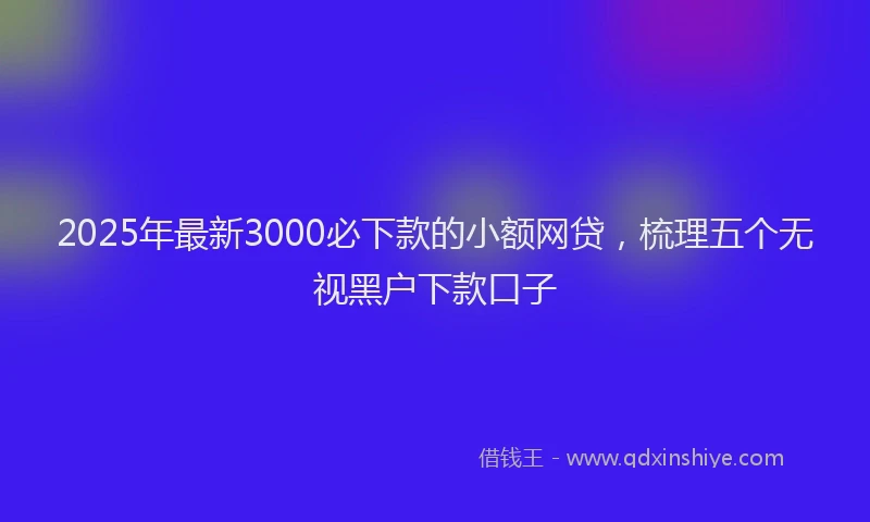 2025年最新3000必下款的小额网贷，梳理五个无视黑户下款口子