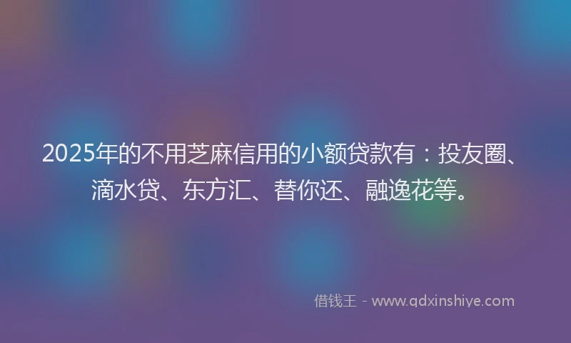 2025年的不用芝麻信用的小额贷款有：投友圈、滴水贷、东方汇、替你还、融逸花等。