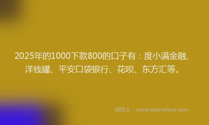2025年的1000下款800的口子有：度小满金融、洋钱罐、平安口袋银行、花呗、东方汇等。