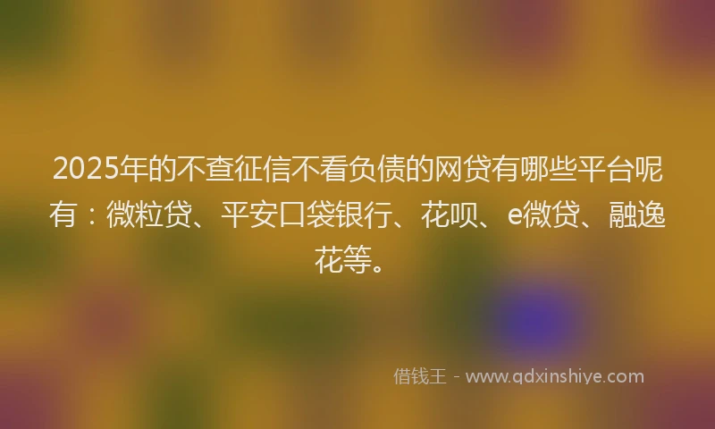 2025年的不查征信不看负债的网贷有哪些平台呢有：微粒贷、平安口袋银行、花呗、e微贷、融逸花等。