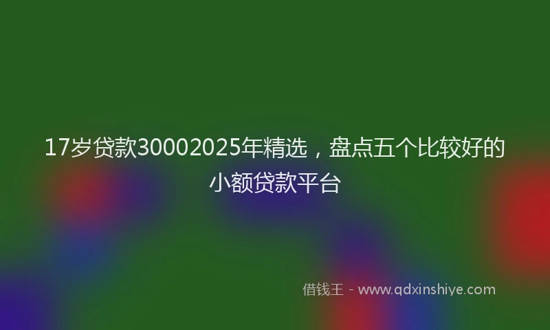 17岁贷款30002025年精选，盘点五个比较好的小额贷款平台