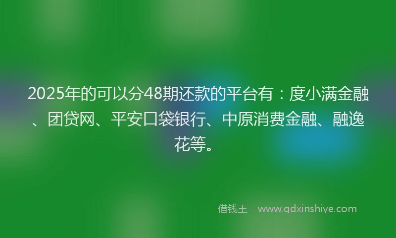 2025年的可以分48期还款的平台有：度小满金融、团贷网、平安口袋银行、中原消费金融、融逸花等。