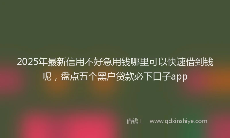 2025年最新信用不好急用钱哪里可以快速借到钱呢，盘点五个黑户贷款必下口子app