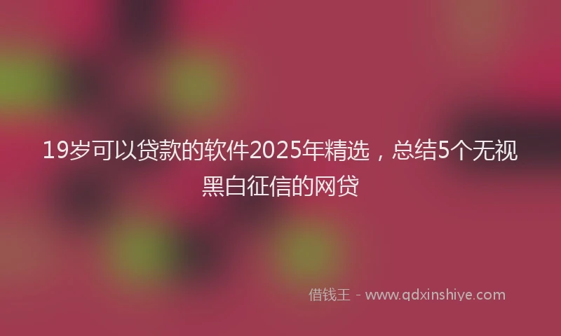 19岁可以贷款的软件2025年精选，总结5个无视黑白征信的网贷