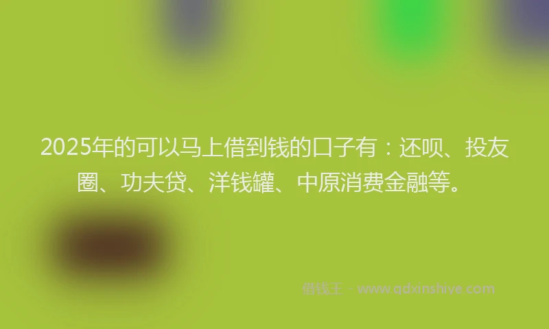 2025年的可以马上借到钱的口子有：还呗、投友圈、功夫贷、洋钱罐、中原消费金融等。
