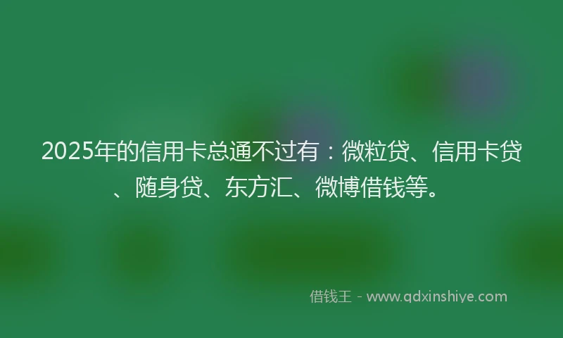 2025年的信用卡总通不过有：微粒贷、信用卡贷、随身贷、东方汇、微博借钱等。