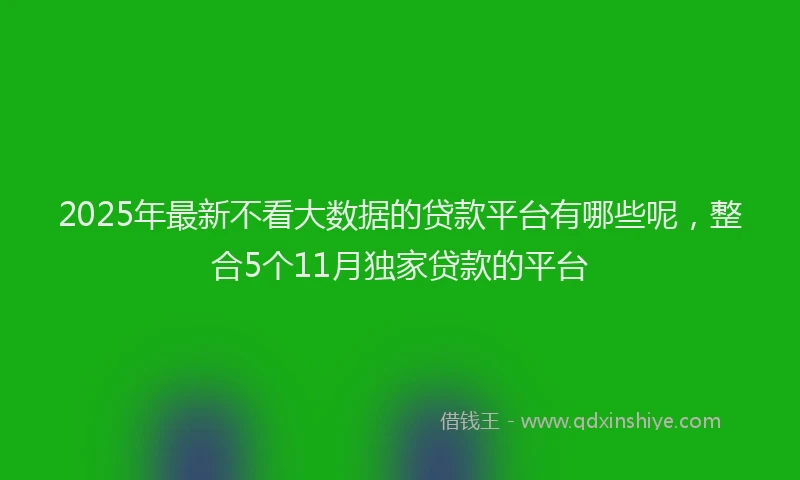 2025年最新不看大数据的贷款平台有哪些呢，整合5个11月独家贷款的平台