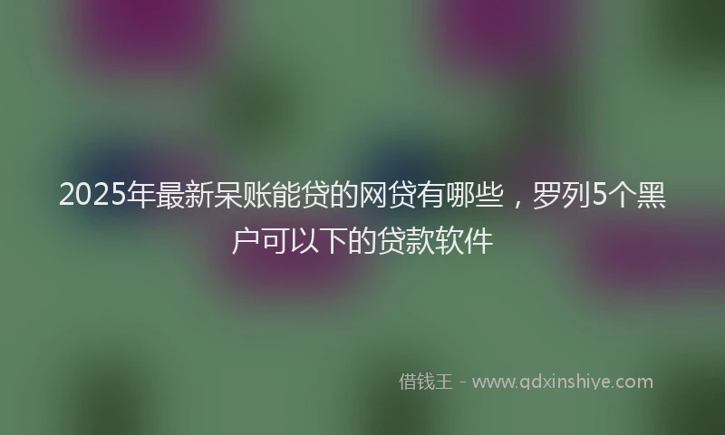 2025年最新呆账能贷的网贷有哪些，罗列5个黑户可以下的贷款软件