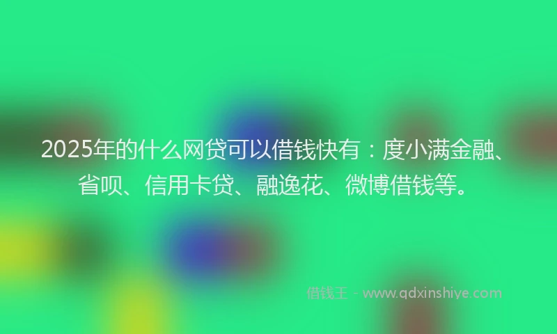 2025年的什么网贷可以借钱快有：度小满金融、省呗、信用卡贷、融逸花、微博借钱等。